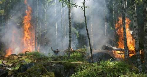 Prevenzione Incendi Boschivi � Ordinanza Sindacale N. 14/2026